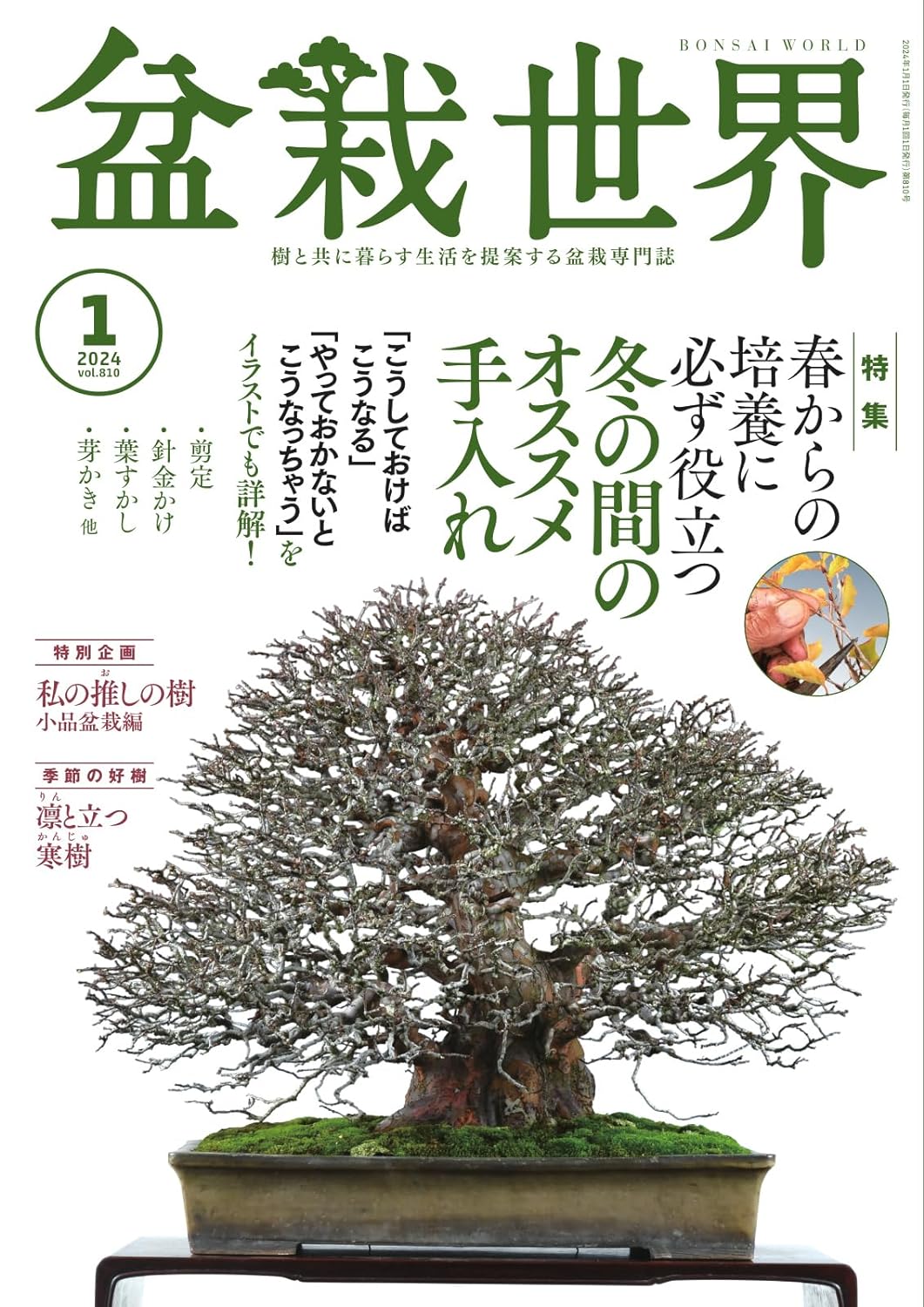 盆栽世界ウェブショップ / 盆栽世界 2024年1月号（送料込）